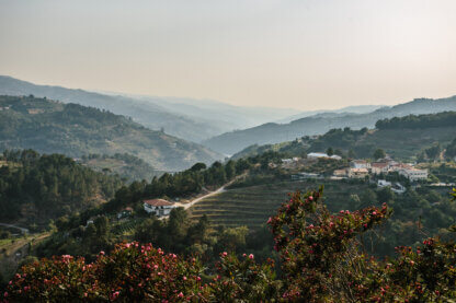 Douro valley view